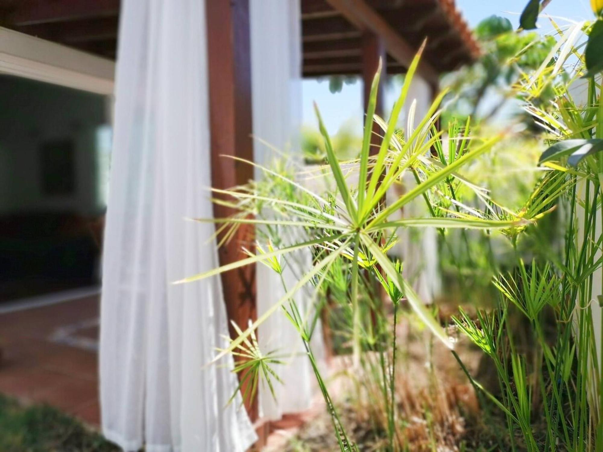 Los Porches D40 By Pride Holiday Rentals San Bartolomé Ngoại thất bức ảnh